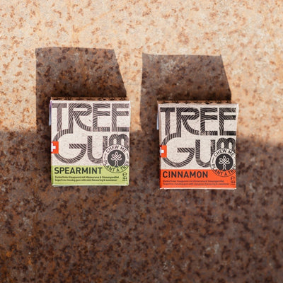 Tree Gum - Tree Gum Cinnamon - Nahmoo